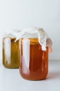 kombucha